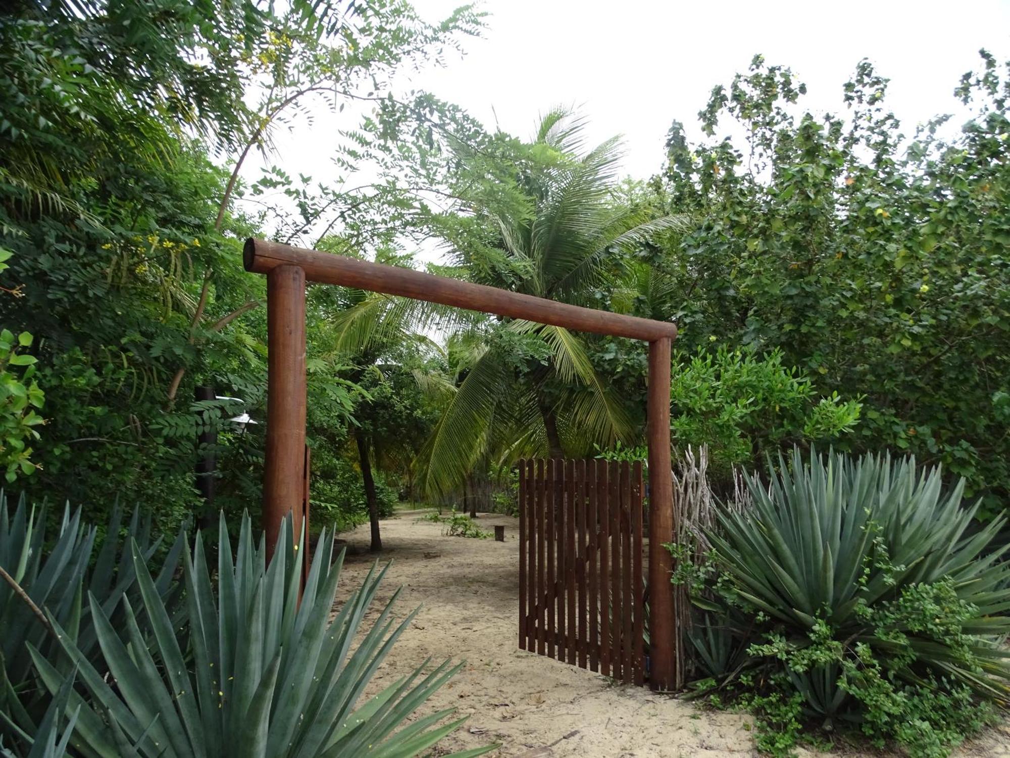 Jungle House Hotel São Miguel do Gostoso Exterior photo