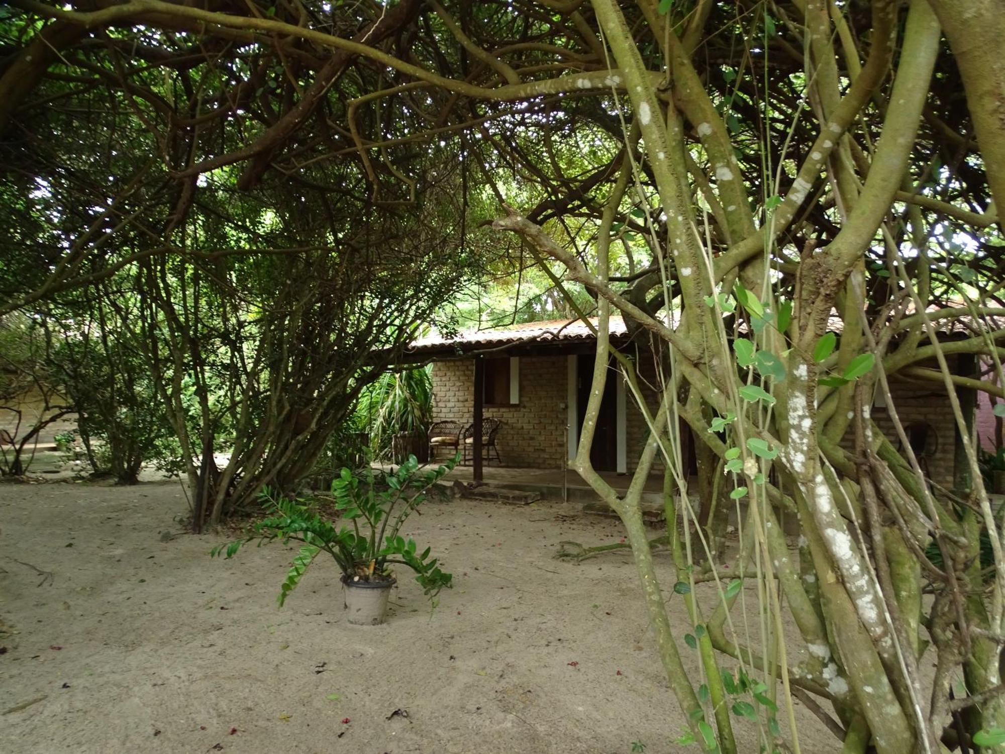 Jungle House Hotel São Miguel do Gostoso Exterior photo