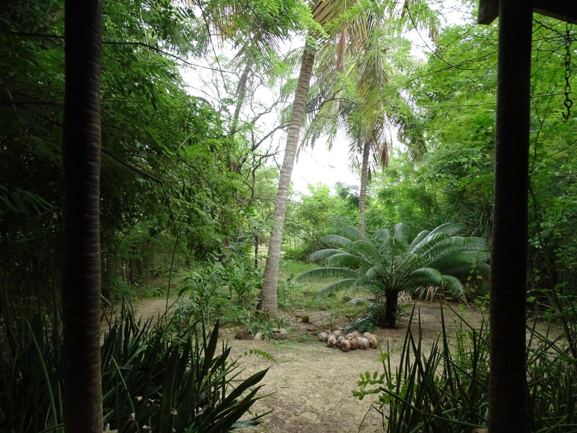 Jungle House Hotel São Miguel do Gostoso Exterior photo